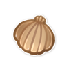 Common seashell.png