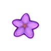 Purple sea star.png
