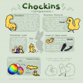 Chockin guide.png